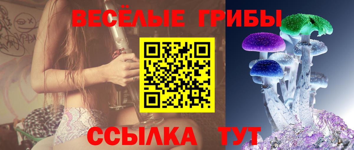 Псилоцибиновые грибы Cubensis Тихорецк