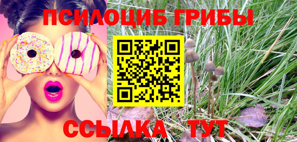 Галлюциногенные грибы прущие грибы  Вход с VPN  Тихорецк 